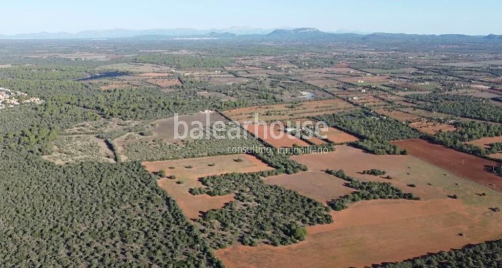 Villas de diseño en un exclusivo condominio junto a la paradisíaca playa de Es Trenc en Mallorca