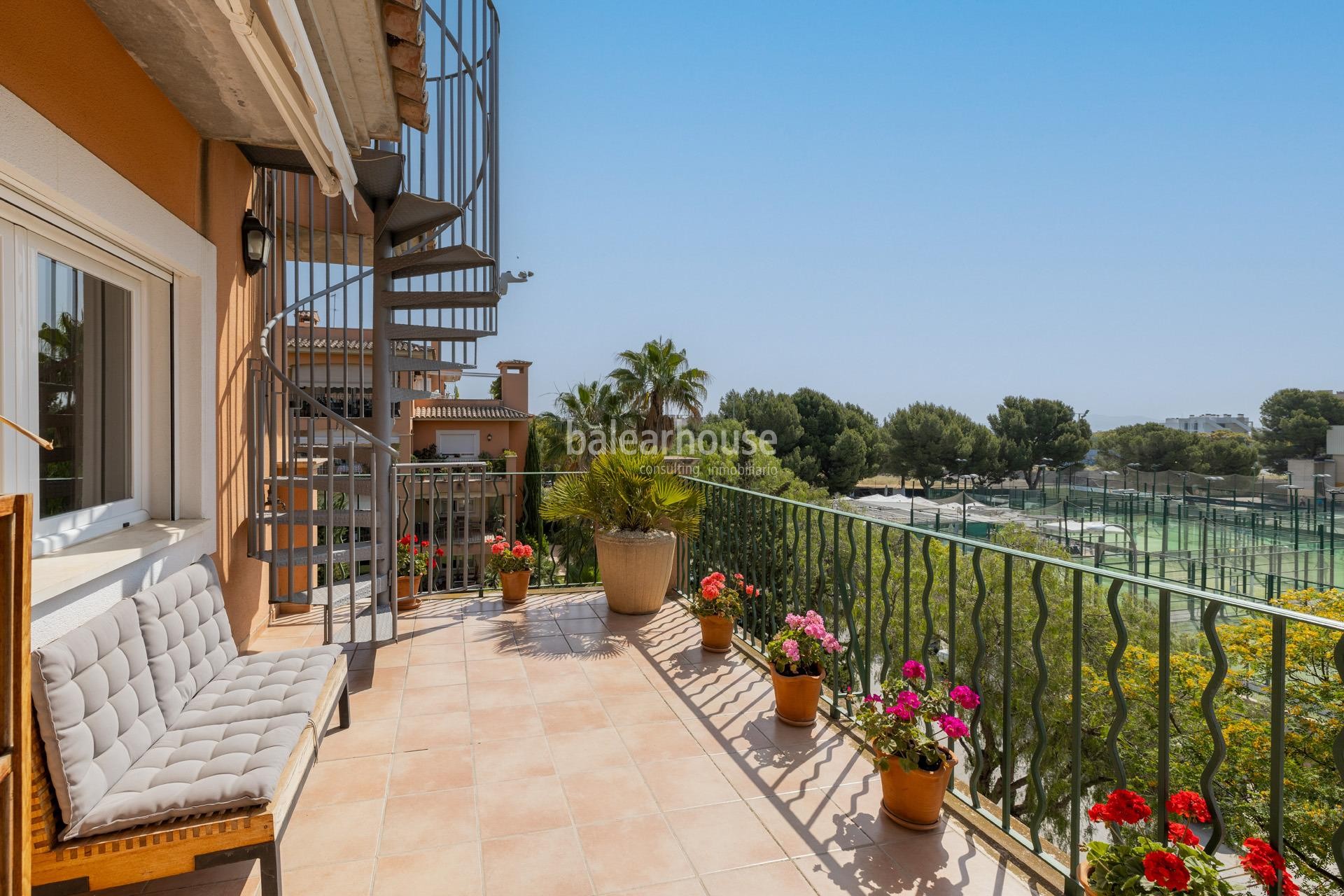 Amplio ático con gran terraza en la azotea y vistas a Palma en zona Colegios.