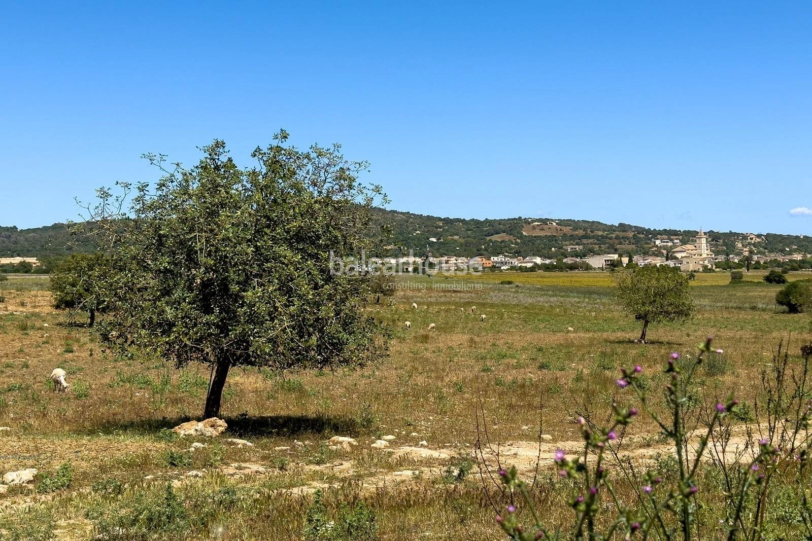 Finca auf einem großen Grundstück mit unglaublichen Außenbereichen und sehr nah an den Stränden