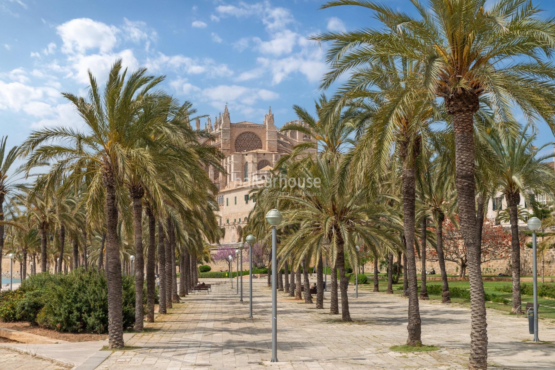 Elegant apartment in a stately building in the heart of Palma, next to the Cathedral and Paseo del Borne