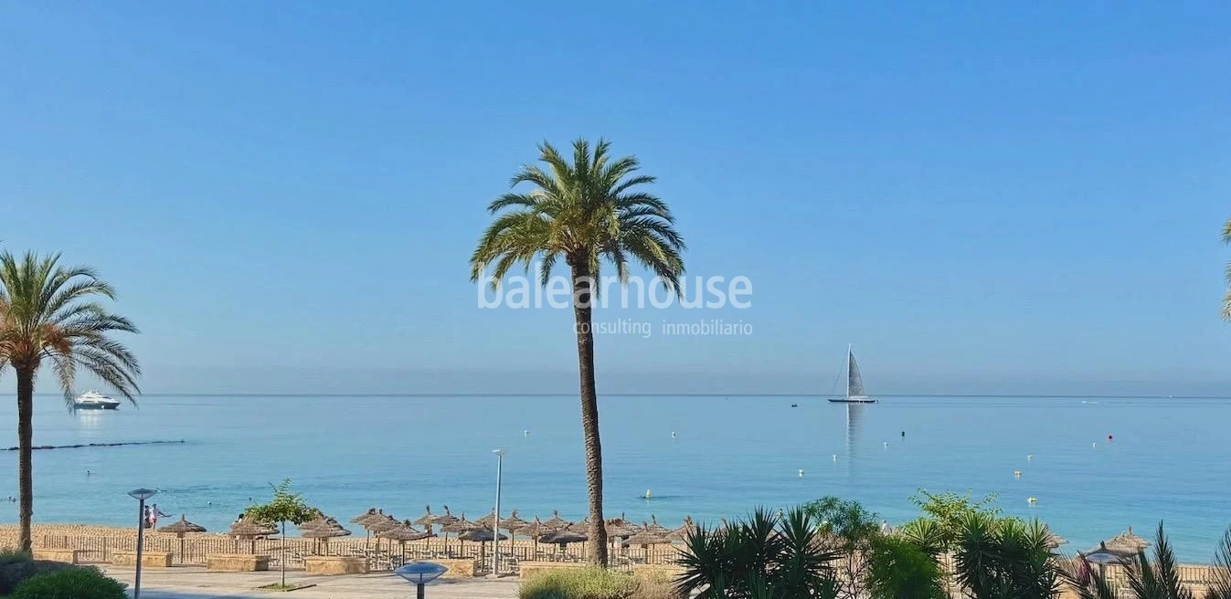  Premium design, natural light and noble materials by the sea in Portixol