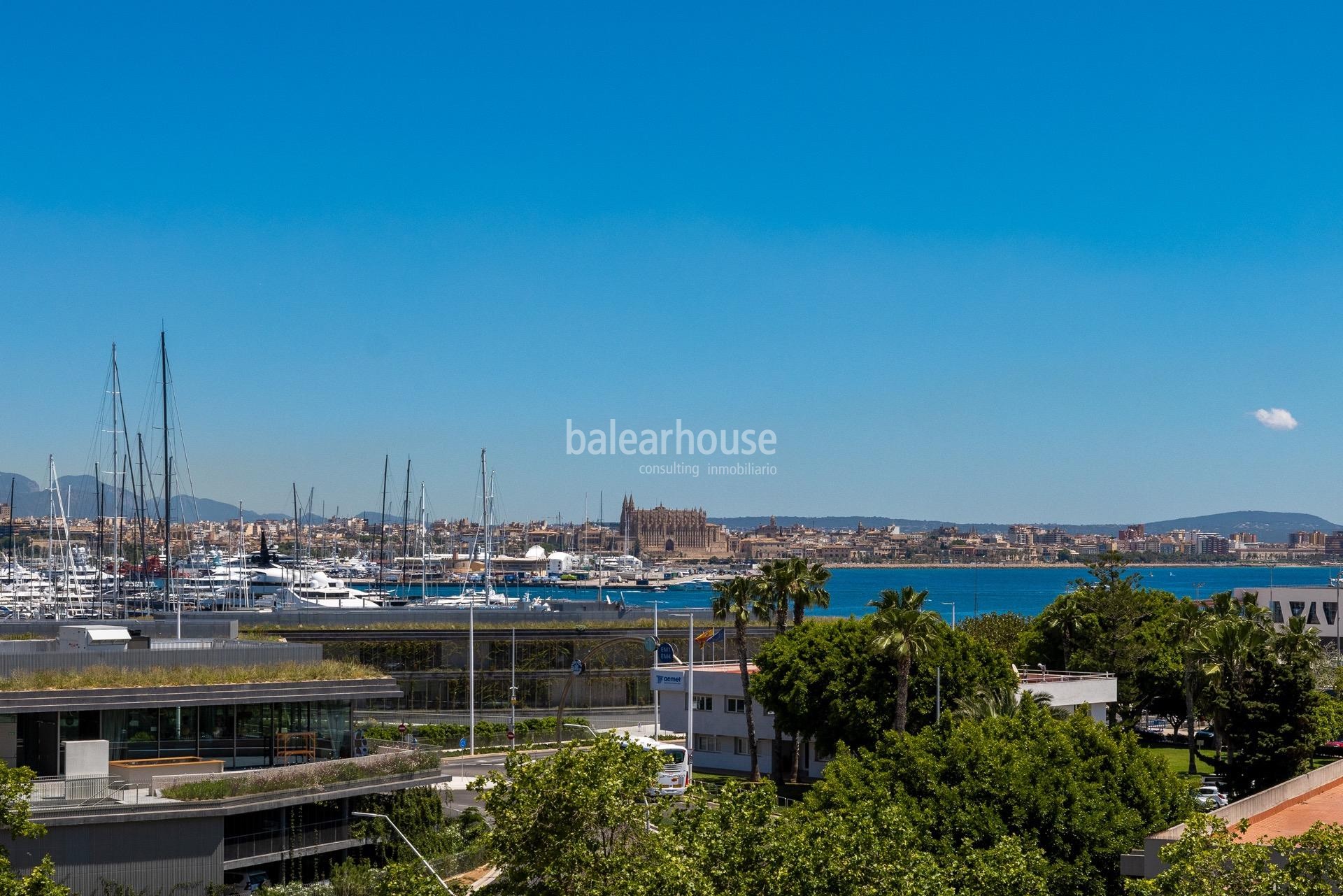 Exceptional views over Palma Bay from this bright seafront apartment