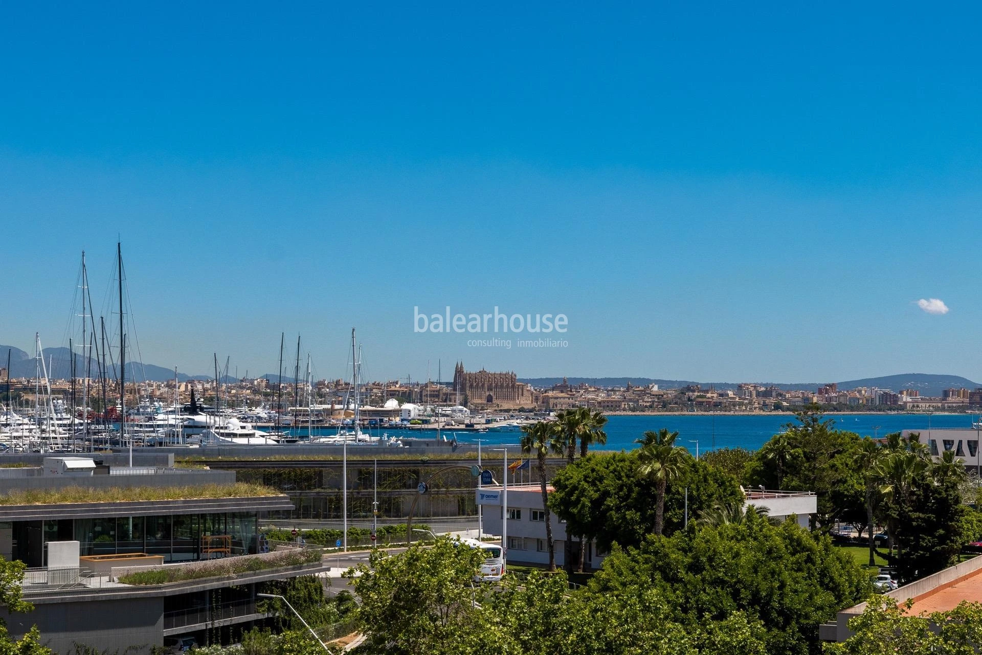 Vistas privilegiadas a la bahía de Palma y a todo el Paseo Marítimo desde este amplio piso lleno de luz