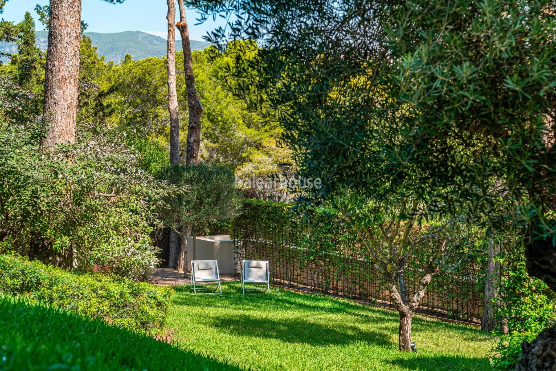 Elegant contemporary villa just a short walk from Cala Vinyes beach on Mallorca’s southwest coast