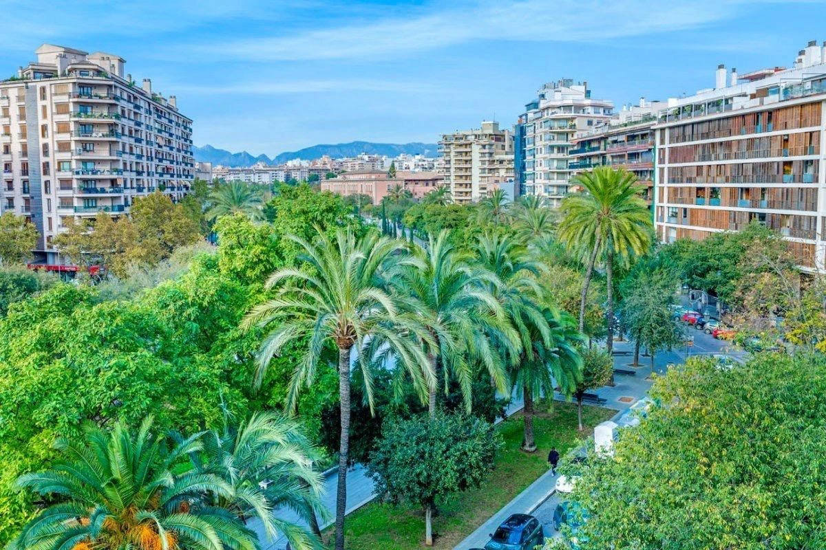 Exceptional spacious apartment overlooking the elegance of Paseo Mallorca