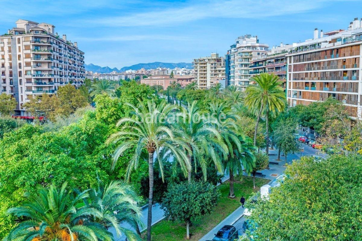 Außergewöhnliche großzügige Wohnung mit Blick auf den Paseo Mallorca