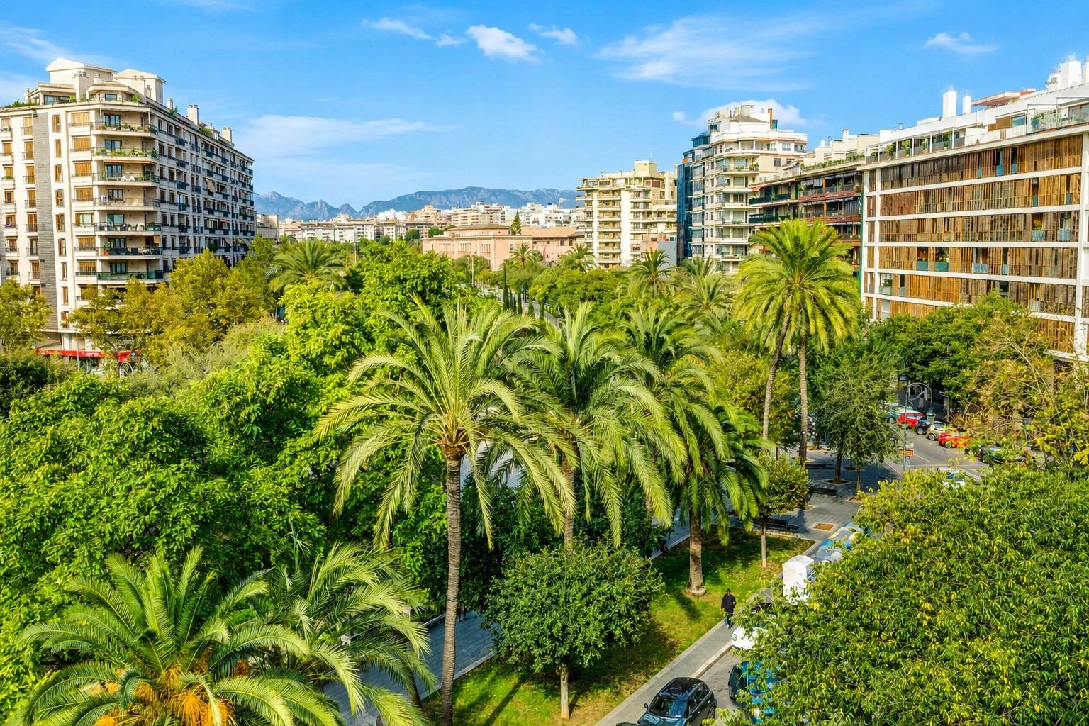 Außergewöhnliche großzügige Wohnung mit Blick auf den Paseo Mallorca