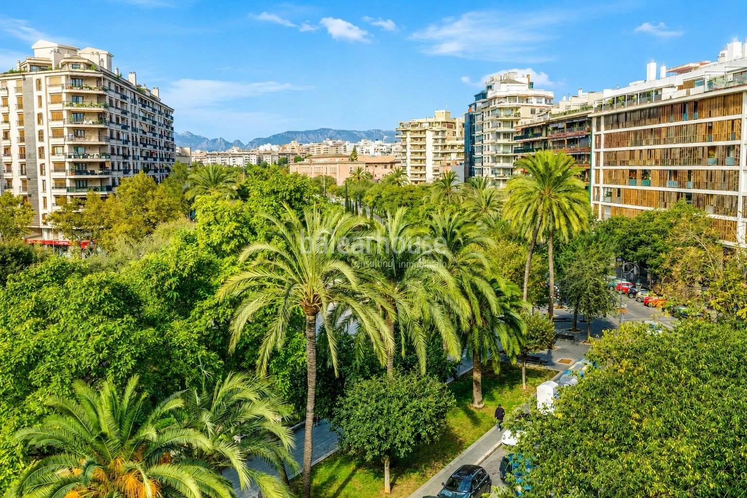Exceptional spacious apartment overlooking the elegance of Paseo Mallorca