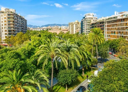 Exceptional spacious apartment overlooking the elegance of Paseo Mallorca