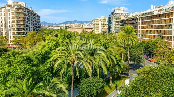 Außergewöhnliche großzügige Wohnung mit Blick auf den Paseo Mallorca