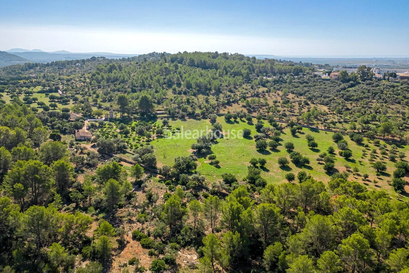 Extenso solar con viñedos, colinas, bosque natural y vistas panorámicas a la Serra de Tramuntana en Bunyola