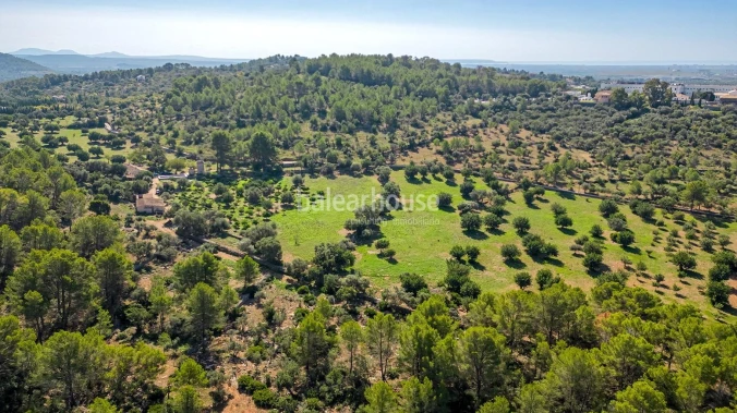 Extenso solar con viñedos, colinas, bosque natural y vistas panorámicas a la Serra de Tramuntana en Bunyola