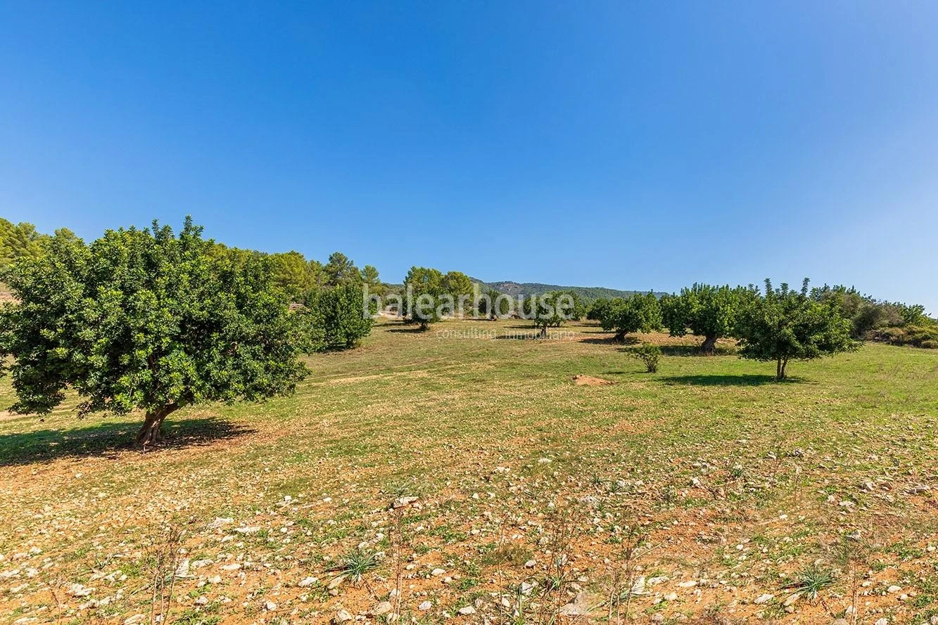 Extenso solar con viñedos, colinas, bosque natural y vistas panorámicas a la Serra de Tramuntana en Bunyola