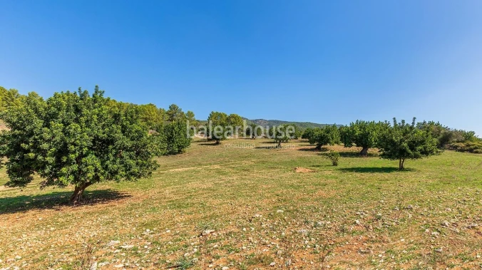 Extenso solar con viñedos, colinas, bosque natural y vistas panorámicas a la Serra de Tramuntana en Bunyola