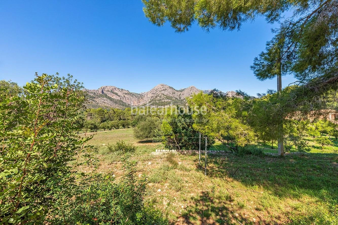 Extenso solar con viñedos, colinas, bosque natural y vistas panorámicas a la Serra de Tramuntana en Bunyola