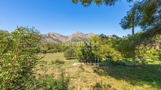 Extenso solar con viñedos, colinas, bosque natural y vistas panorámicas a la Serra de Tramuntana en Bunyola