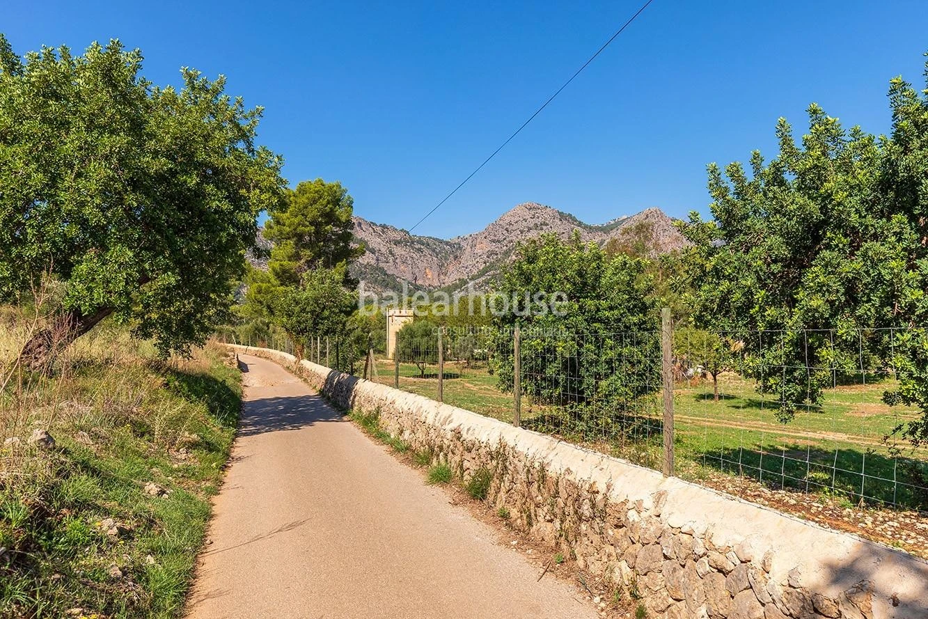 Extenso solar con viñedos, colinas, bosque natural y vistas panorámicas a la Serra de Tramuntana en Bunyola