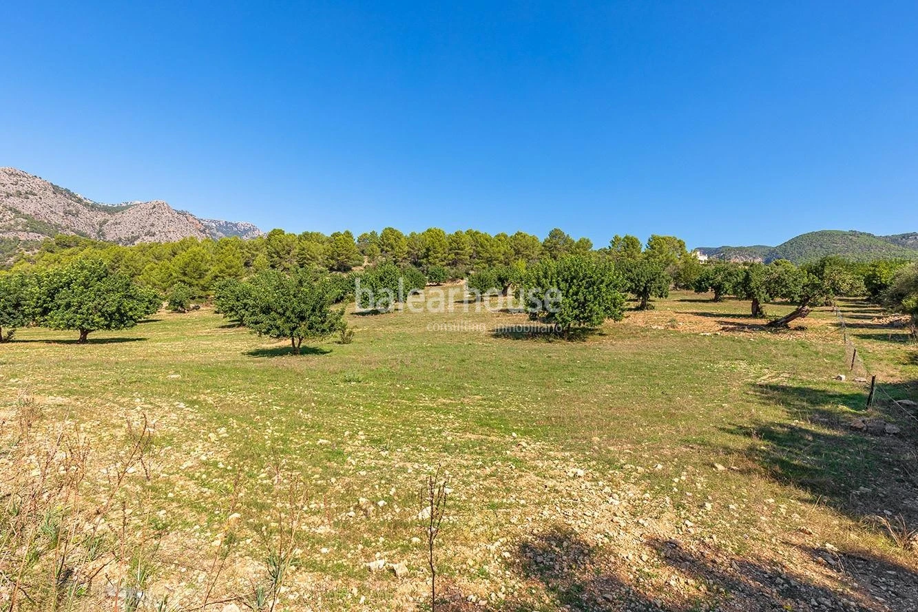 Extenso solar con viñedos, colinas, bosque natural y vistas panorámicas a la Serra de Tramuntana en Bunyola