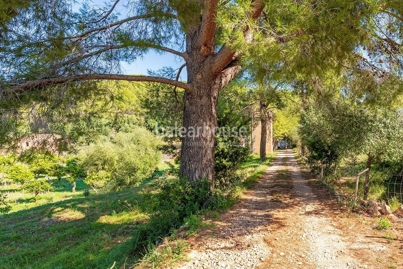 Extenso solar con viñedos, colinas, bosque natural y vistas panorámicas a la Serra de Tramuntana en Bunyola