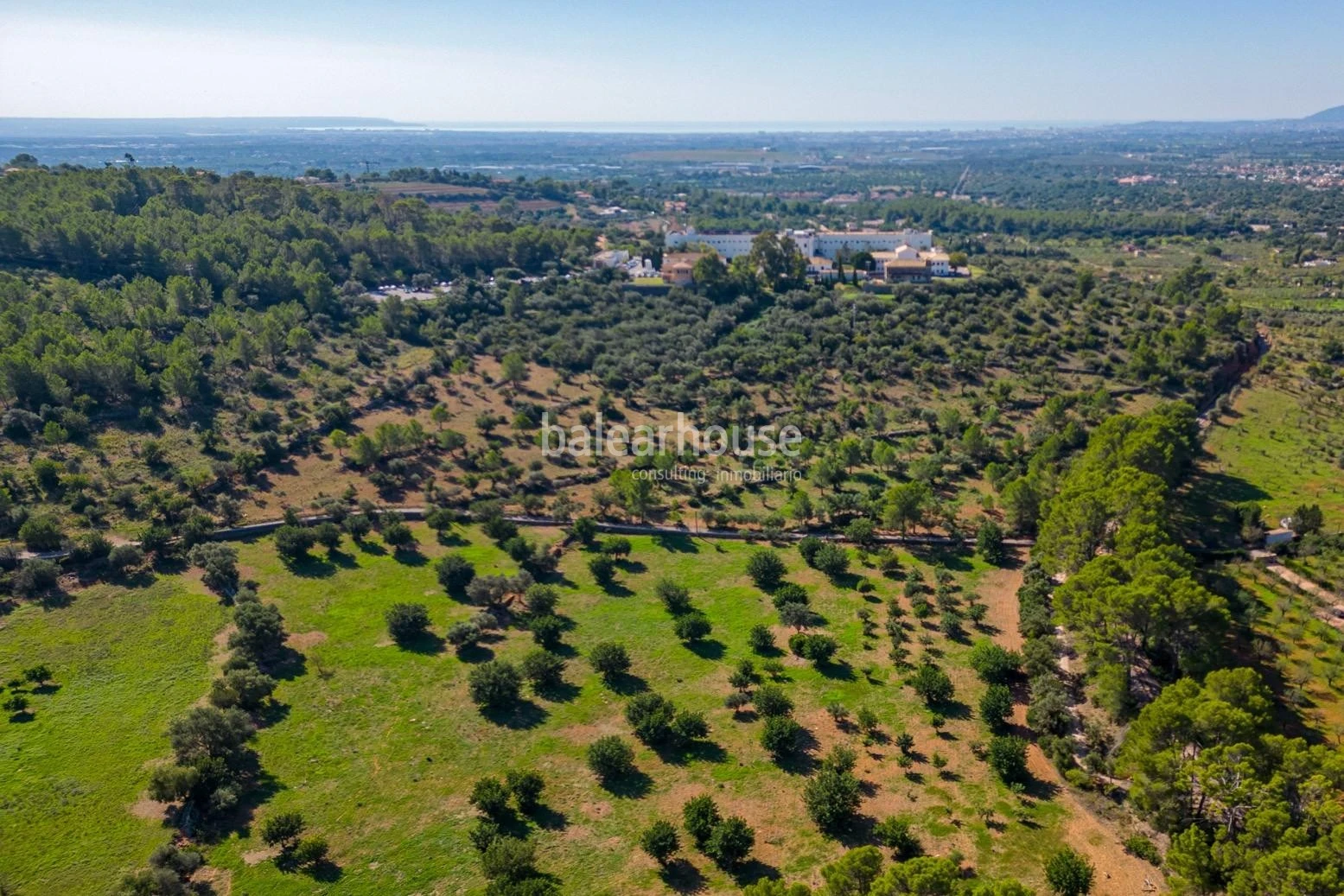 Extenso solar con viñedos, colinas, bosque natural y vistas panorámicas a la Serra de Tramuntana en Bunyola