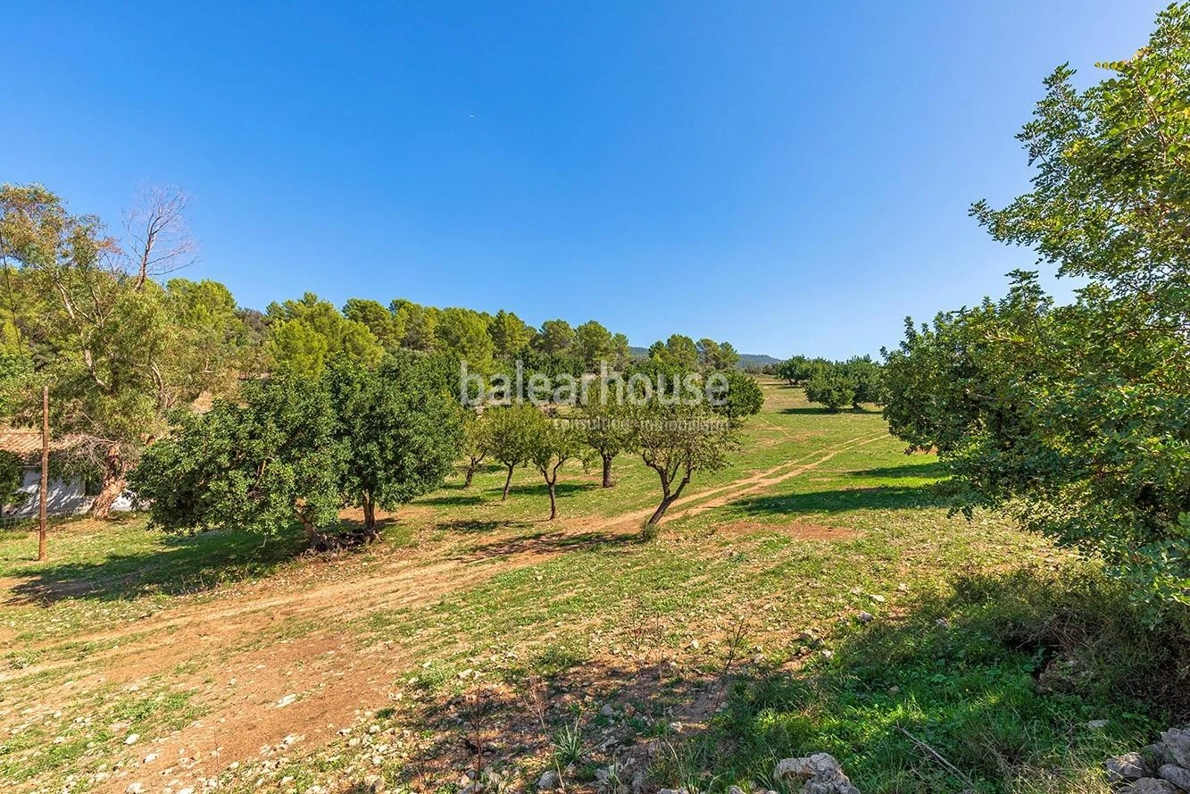Extenso solar con viñedos, colinas, bosque natural y vistas panorámicas a la Serra de Tramuntana en Bunyola