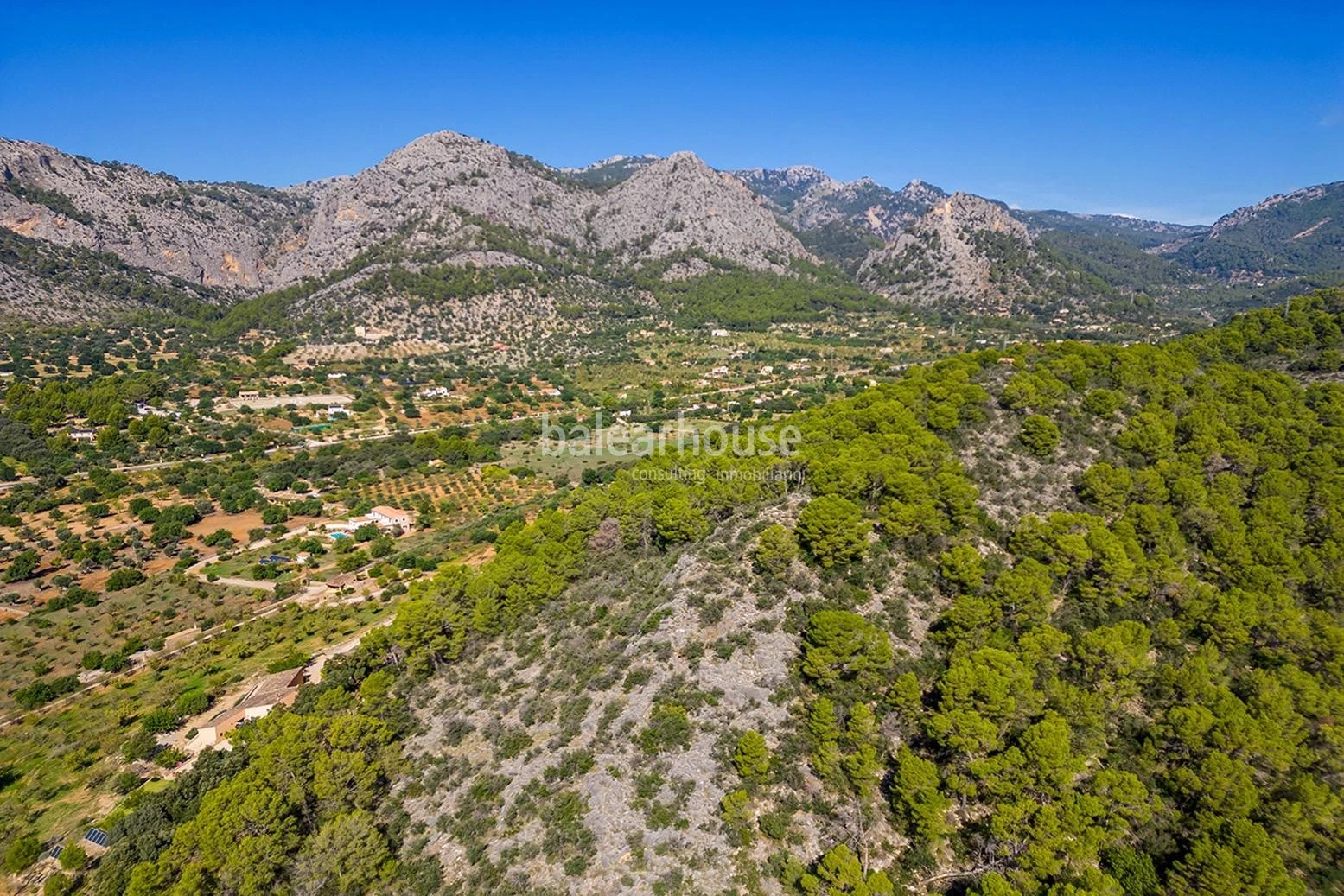 Extenso solar con viñedos, colinas, bosque natural y vistas panorámicas a la Serra de Tramuntana en Bunyola