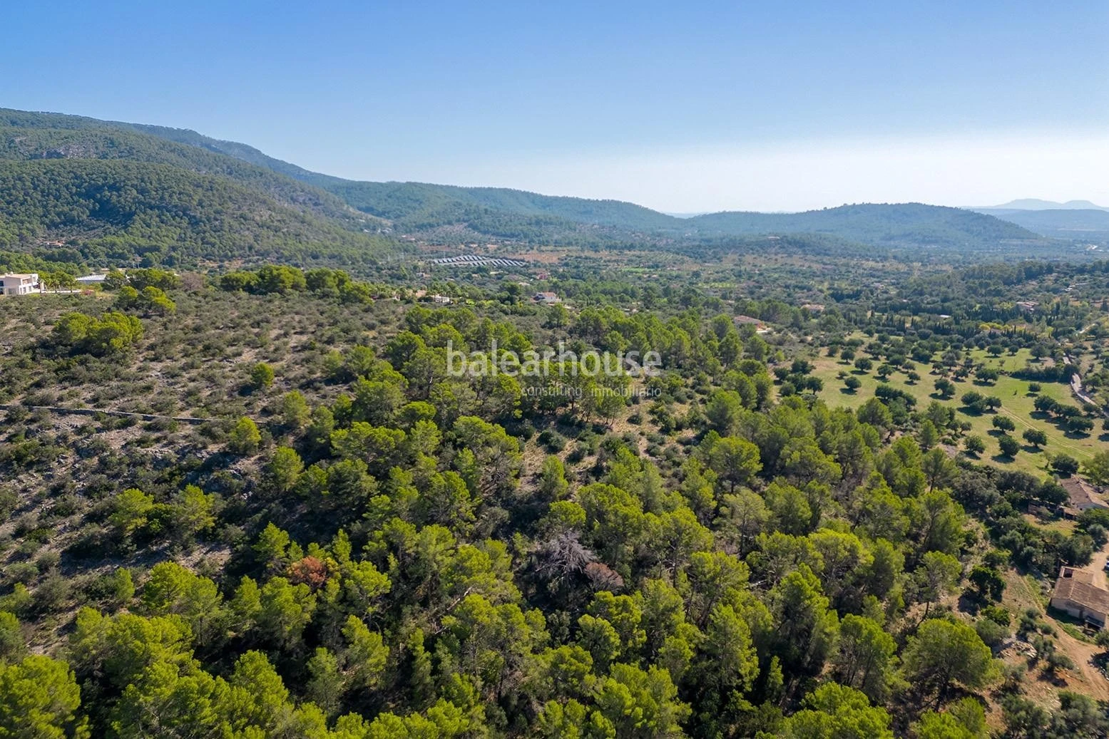 Extenso solar con viñedos, colinas, bosque natural y vistas panorámicas a la Serra de Tramuntana en Bunyola
