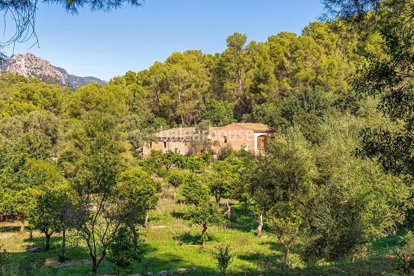 Extenso solar con viñedos, colinas, bosque natural y vistas panorámicas a la Serra de Tramuntana en Bunyola