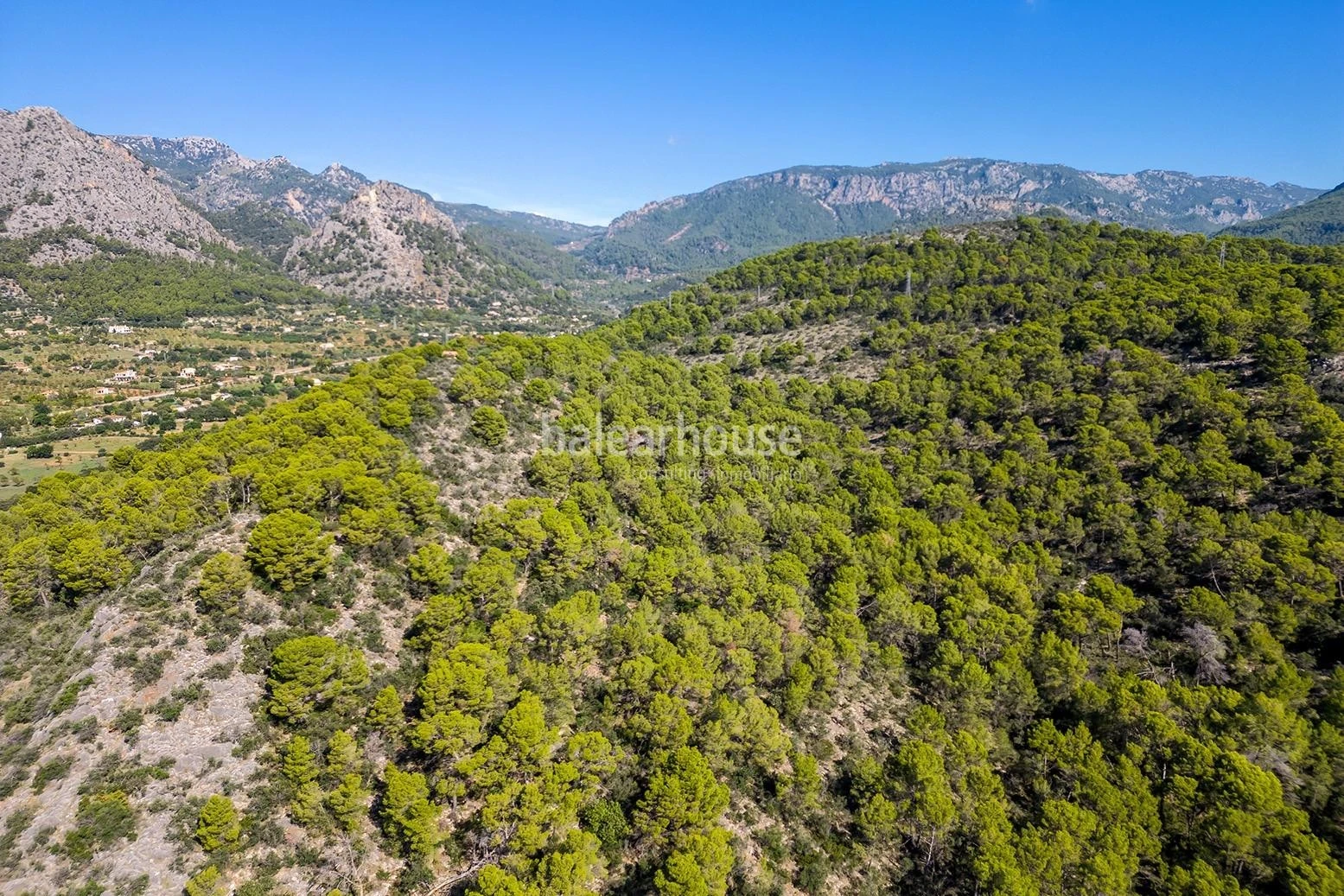 Extenso solar con viñedos, colinas, bosque natural y vistas panorámicas a la Serra de Tramuntana en Bunyola