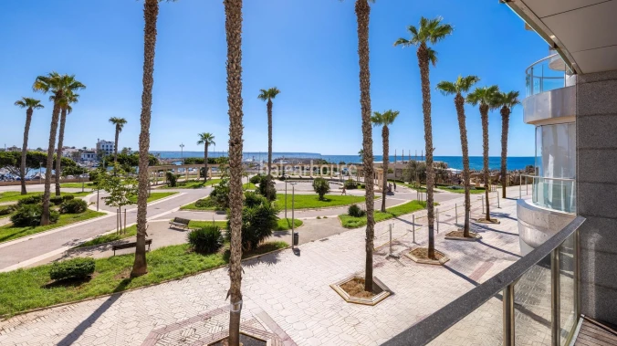 Designer Apartment with High-Quality Finishes, Terrace, Pool and Beautiful Sea Views in Portixol