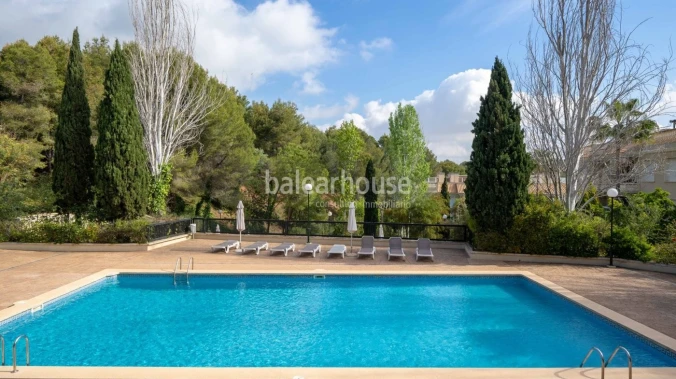 Geräumige Wohnung in einer gepflegten Wohnanlage mit Swimmingpool und Gärten, direkt neben dem schönen Park und der Burg von Bellver