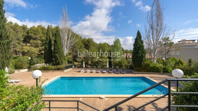 Geräumige Wohnung in einer gepflegten Wohnanlage mit Swimmingpool und Gärten, direkt neben dem schönen Park und der Burg von Bellver
