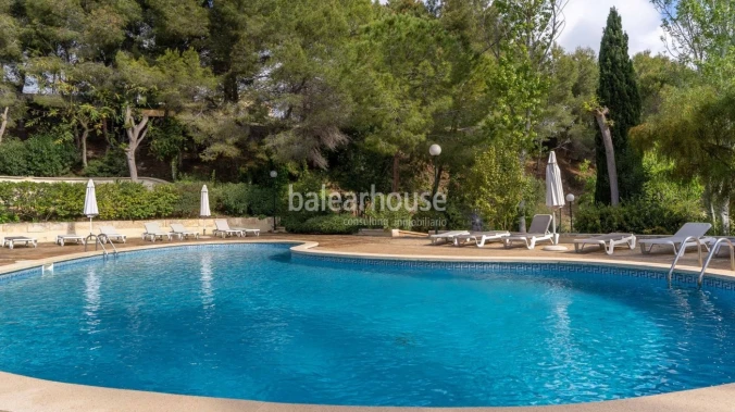 Geräumige Wohnung in einer gepflegten Wohnanlage mit Swimmingpool und Gärten, direkt neben dem schönen Park und der Burg von Bellver