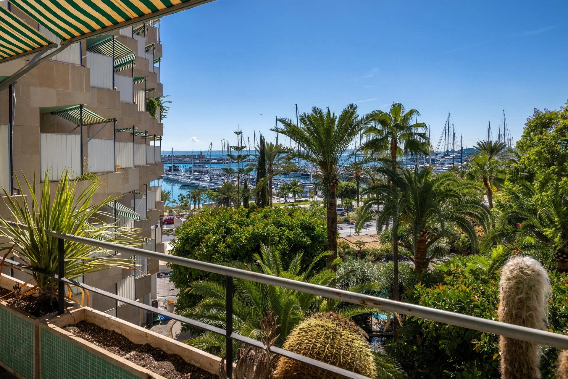 Open sea and harbour views from one of the most emblematic buildings on Palma's Paseo Marítimo