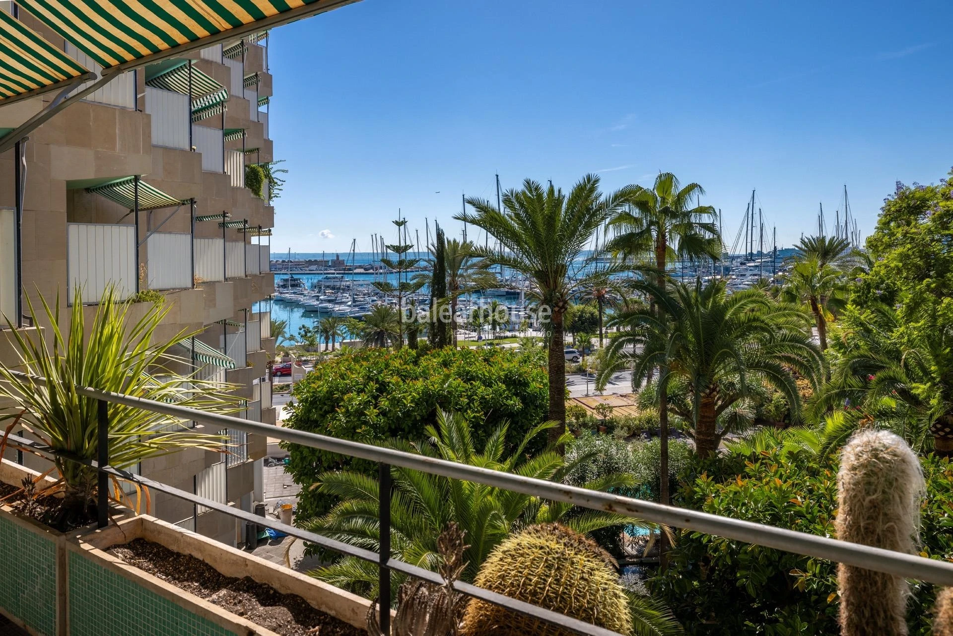Despejadas vistas al mar y al puerto desde uno de los edificios más emblemáticos del Paseo Marítimo de Palma