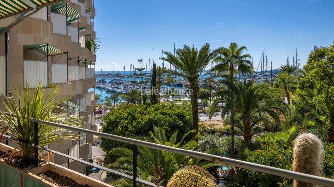 Despejadas vistas al mar y al puerto desde uno de los edificios más emblemáticos del Paseo Marítimo de Palma