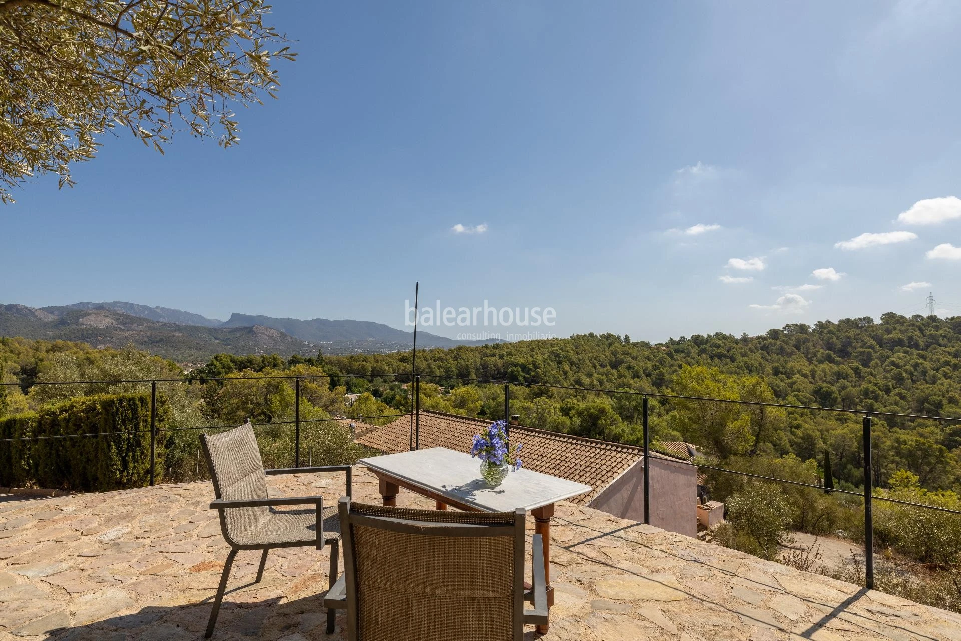 Beautiful views of the entire Tramuntana and Palma from this finca set high above Esporles